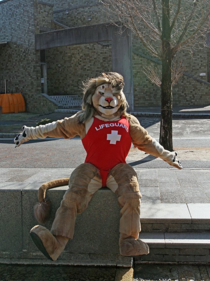 Japan Meeting of Furries 2017, Non Hoi Park