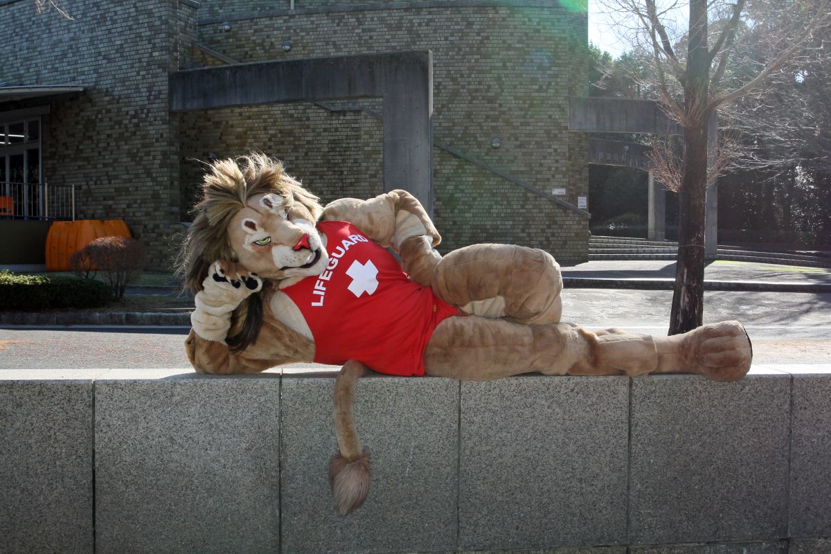 Japan Meeting of Furries 2017, Non Hoi Park