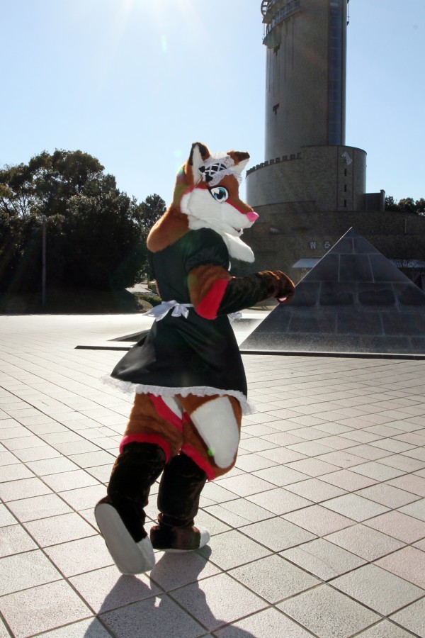 Japan Meeting of Furries 2017, Non Hoi Park