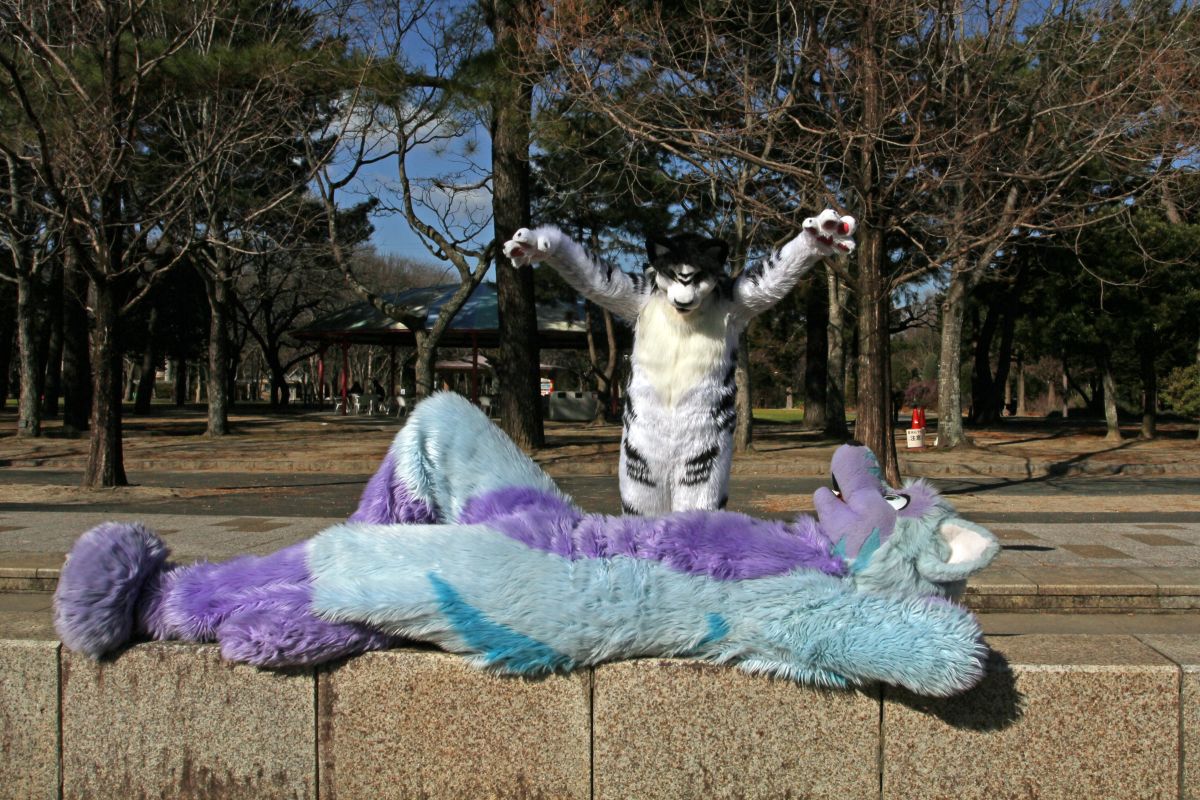 Japan Meeting of Furries 2017, Non Hoi Park