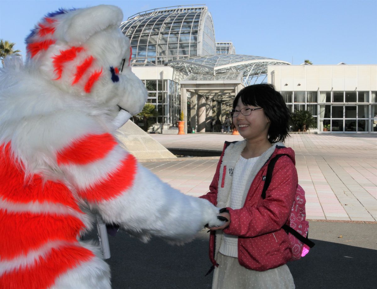 Japan Meeting of Furries 2017