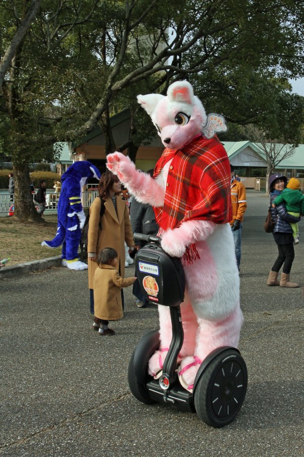Japan Meeting of Furries 2017, Non Hoi Park