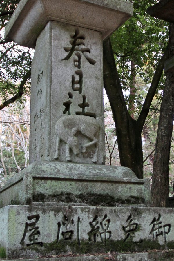 Japan Meeting of Furries 2017, Nara Park