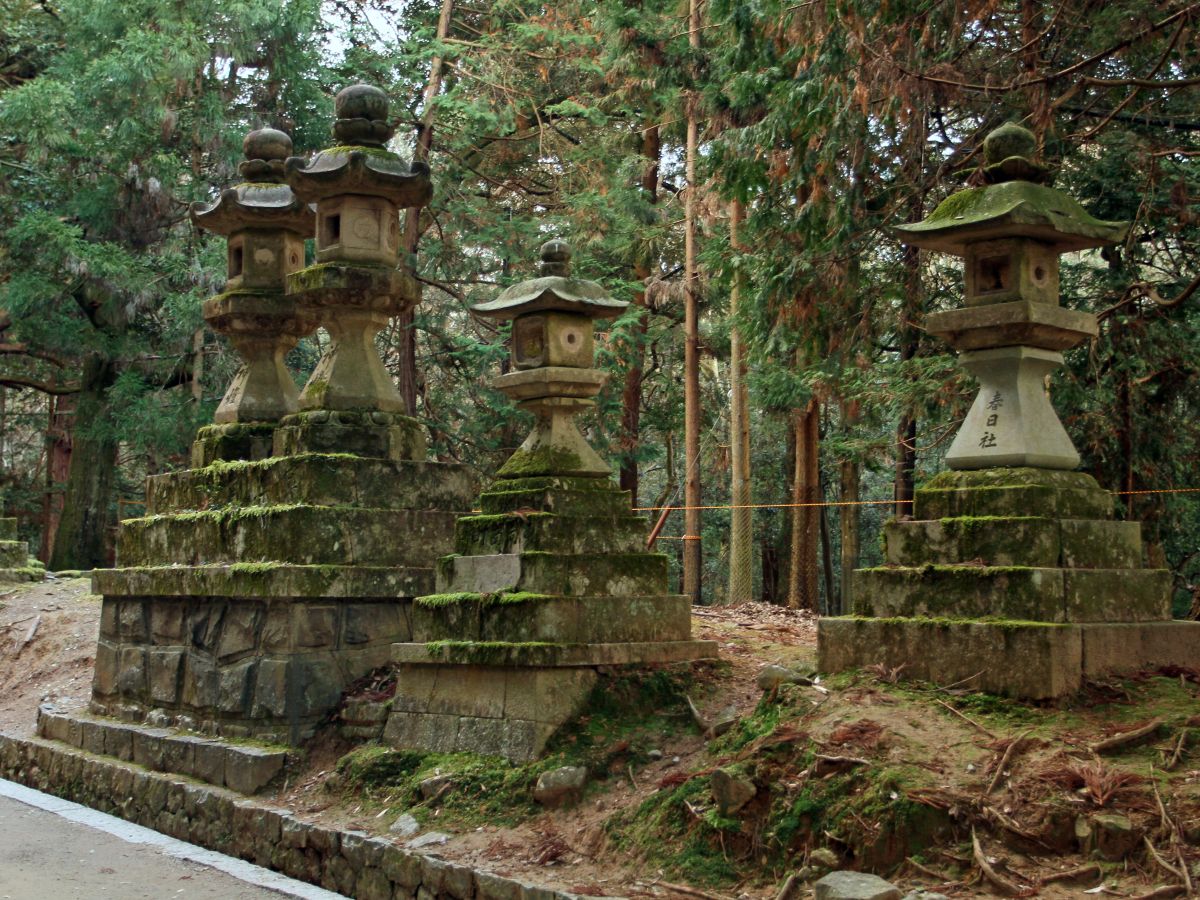 Japan Meeting of Furries 2017, Nara Park