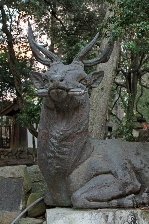 Japan Meeting of Furries 2017, Nara Park
