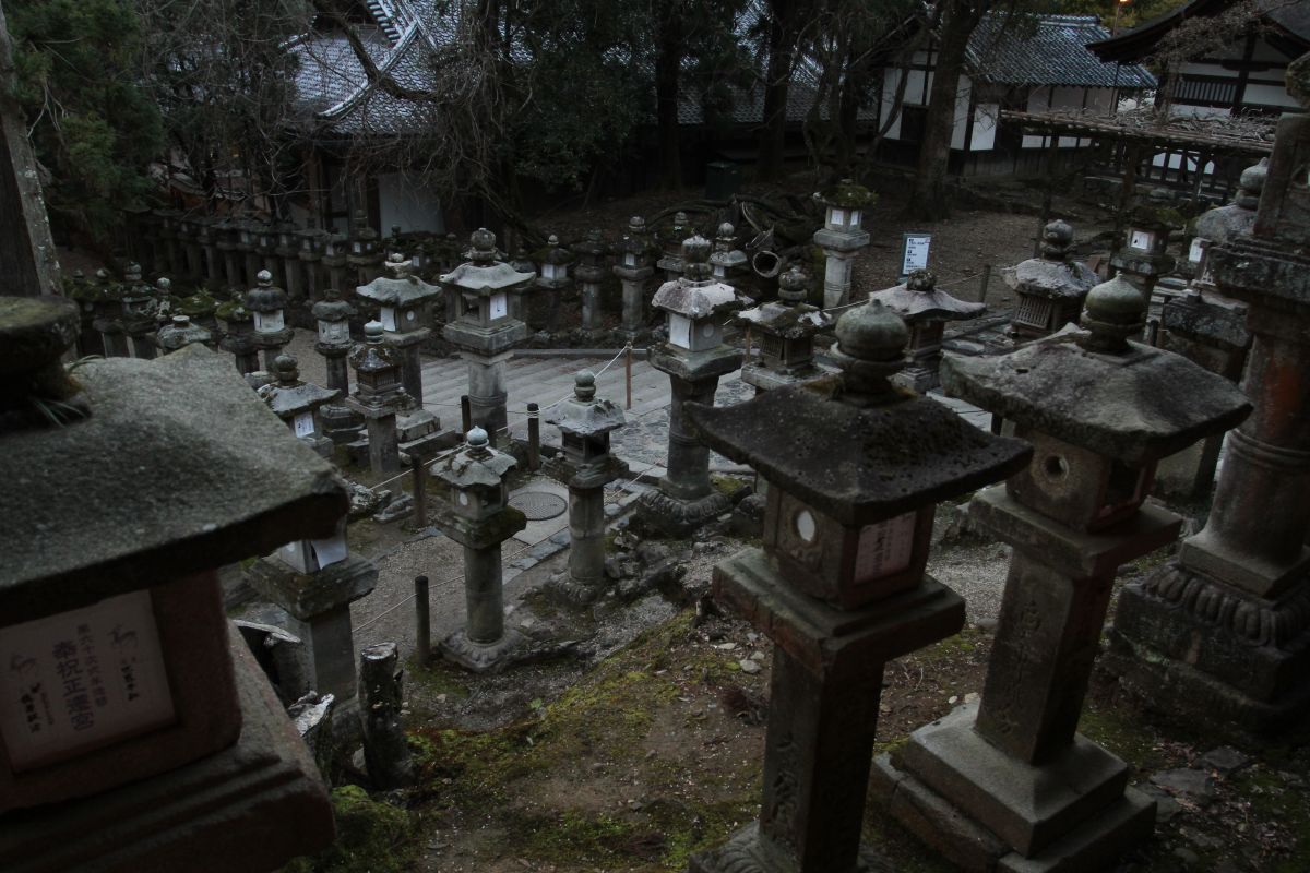 Japan Meeting of Furries 2017, Nara Park
