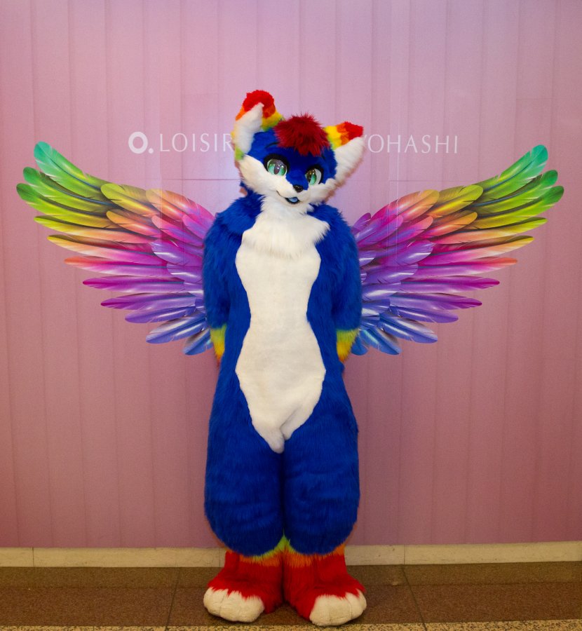 Japan Meeting of Furries 2018, Convention photos
