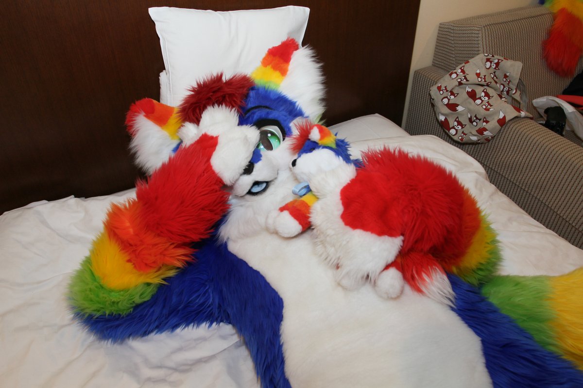 Japan Meeting of Furries 2018, Convention photos