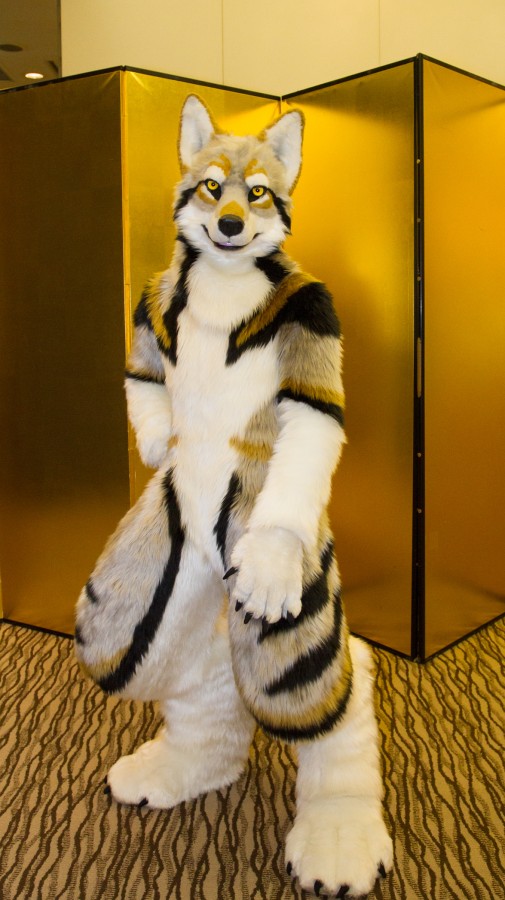 Japan Meeting of Furries 2018, Convention photos