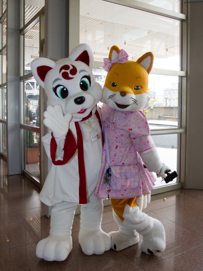 Japan Meeting of Furries 2018, Convention photos
