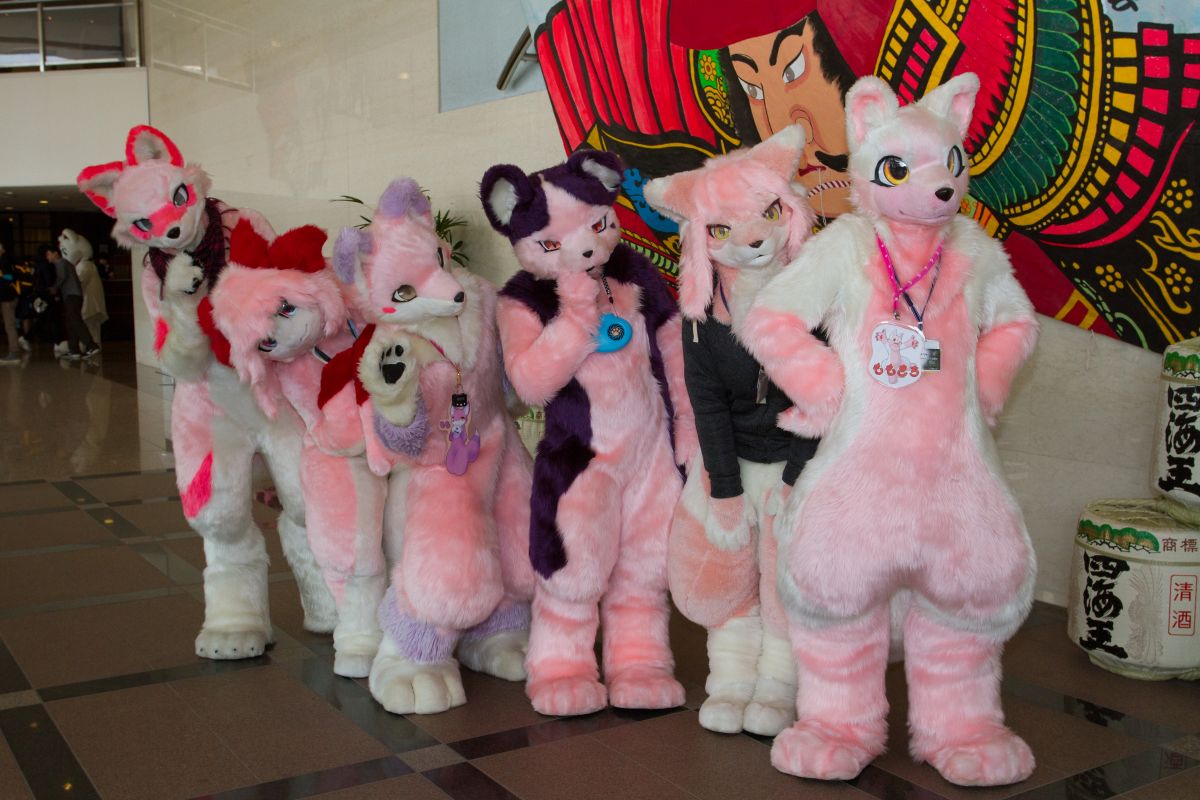 Japan Meeting of Furries 2018, Convention photos