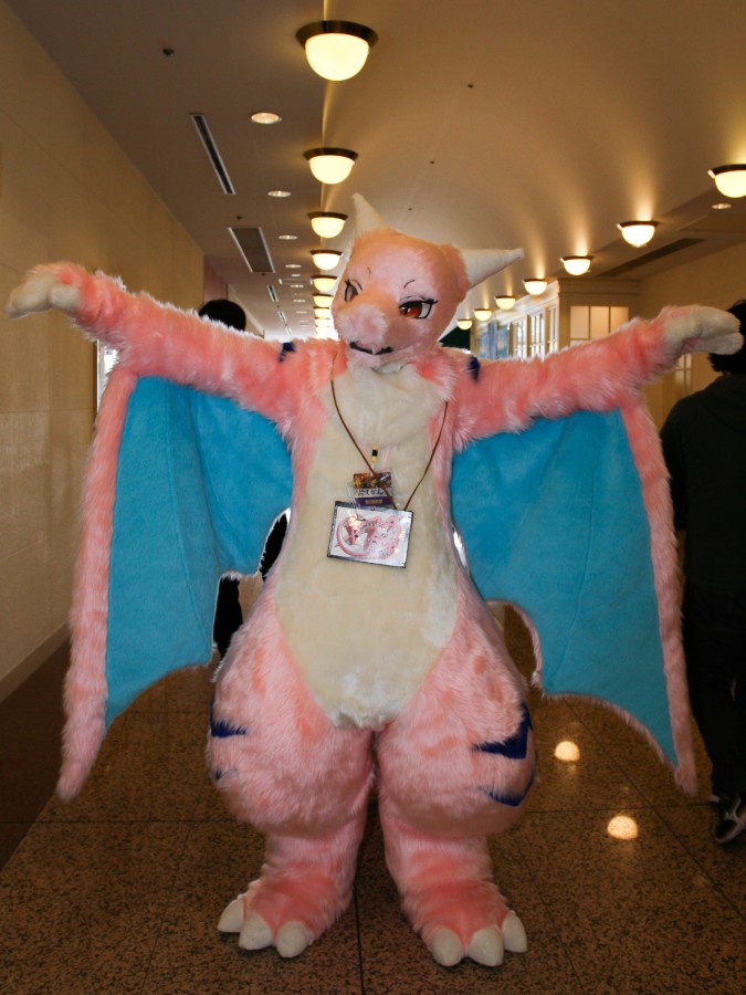 Japan Meeting of Furries 2018, Convention photos