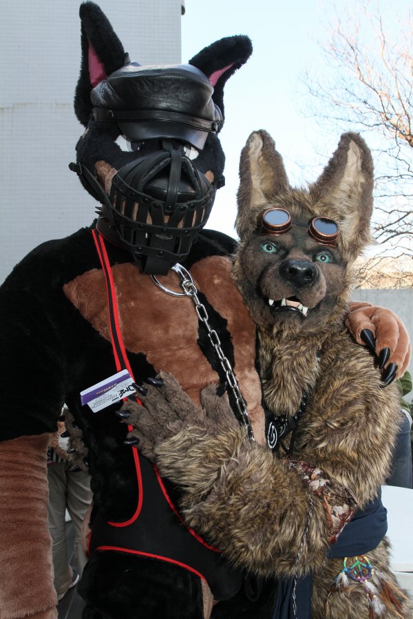 Japan Meeting of Furries 2018, Convention photos