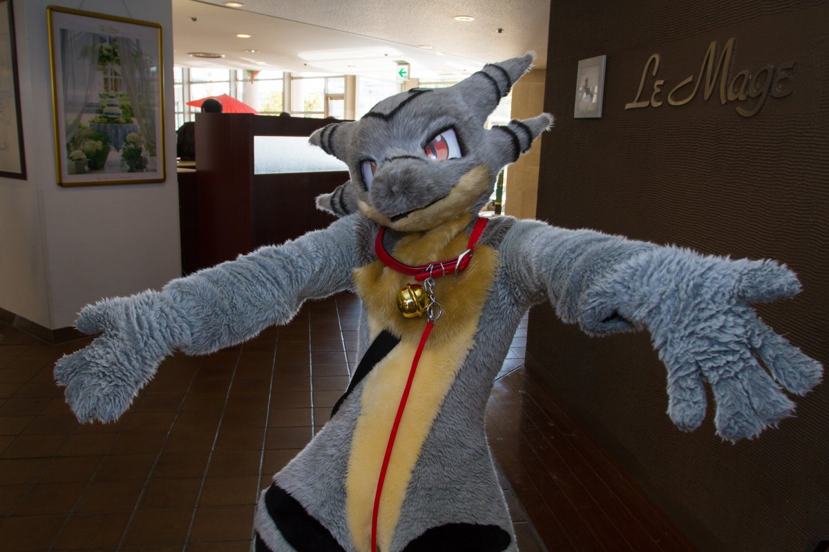 Japan Meeting of Furries 2018, Convention photos