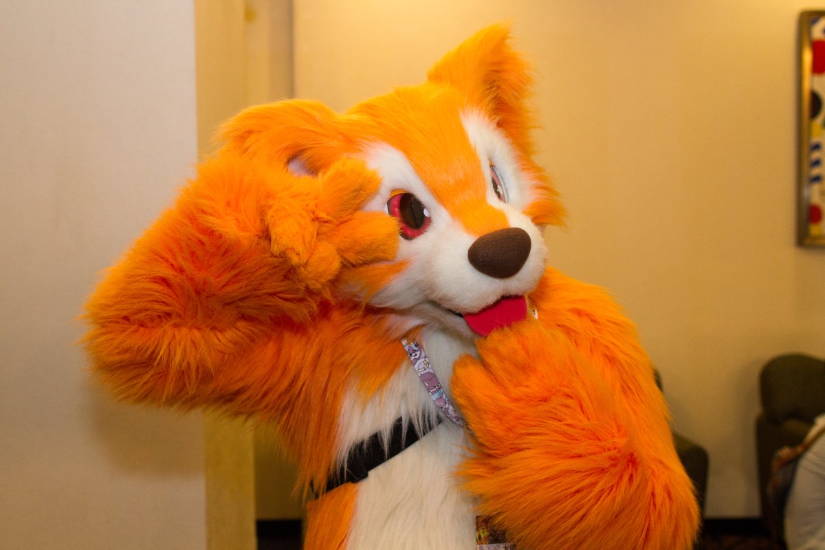 Japan Meeting of Furries 2018, Convention photos