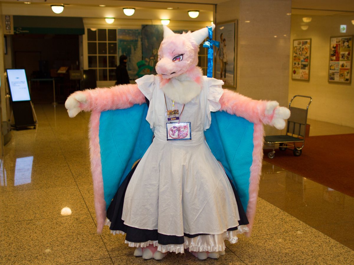 Japan Meeting of Furries 2018, Convention photos