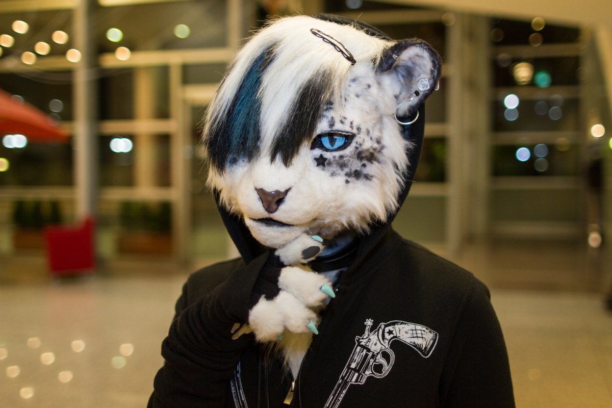 Japan Meeting of Furries 2018, Convention photos