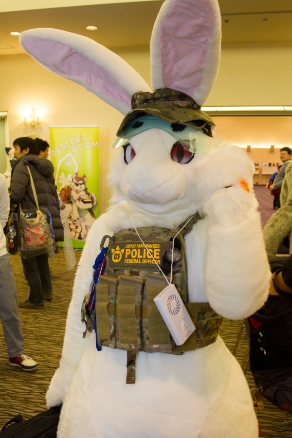 Japan Meeting of Furries 2018, Convention photos