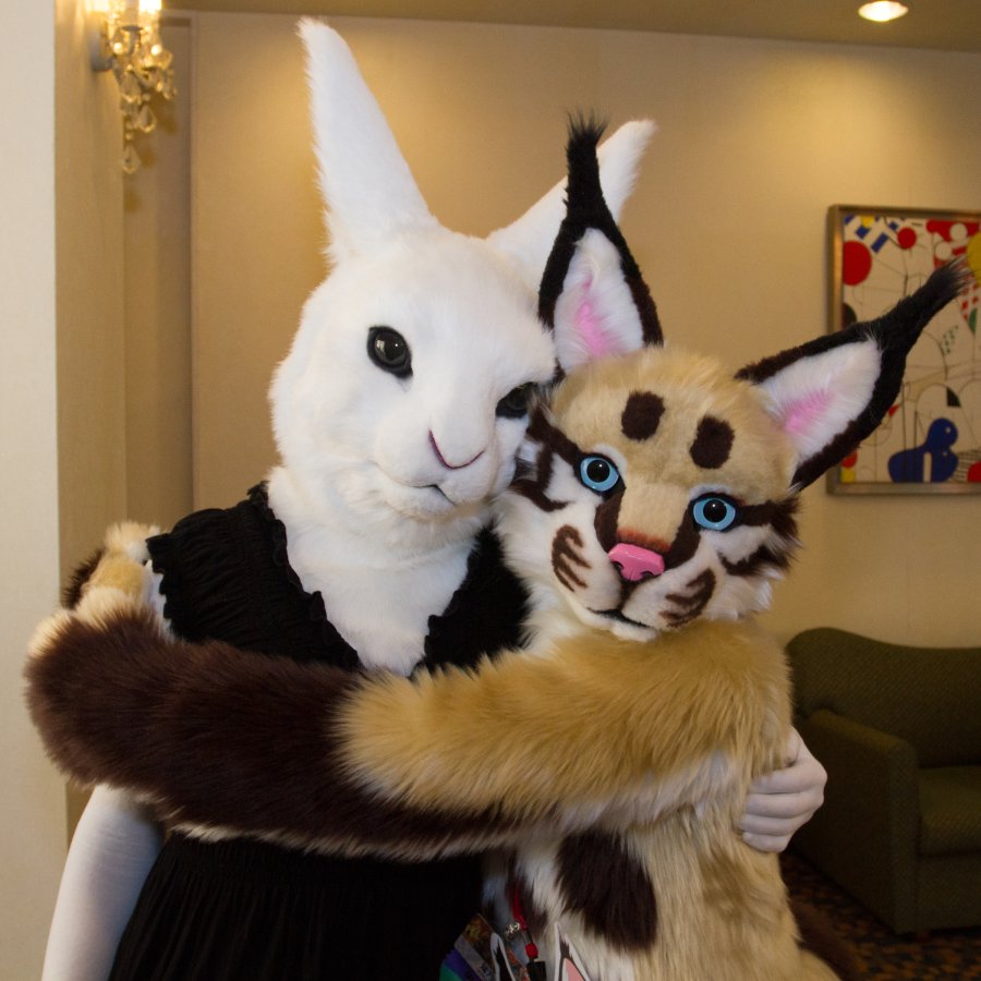 Japan Meeting of Furries 2018, Lumie bunny