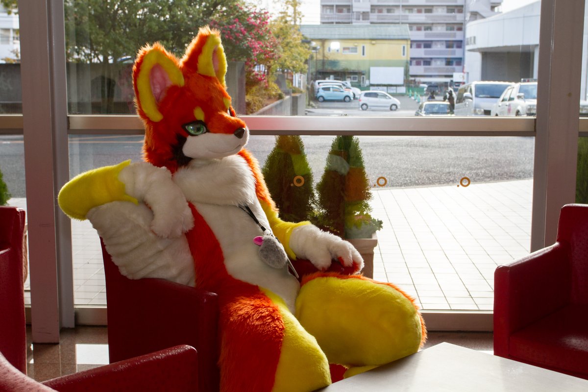 Japan Meeting of Furries 2018, Convention photos