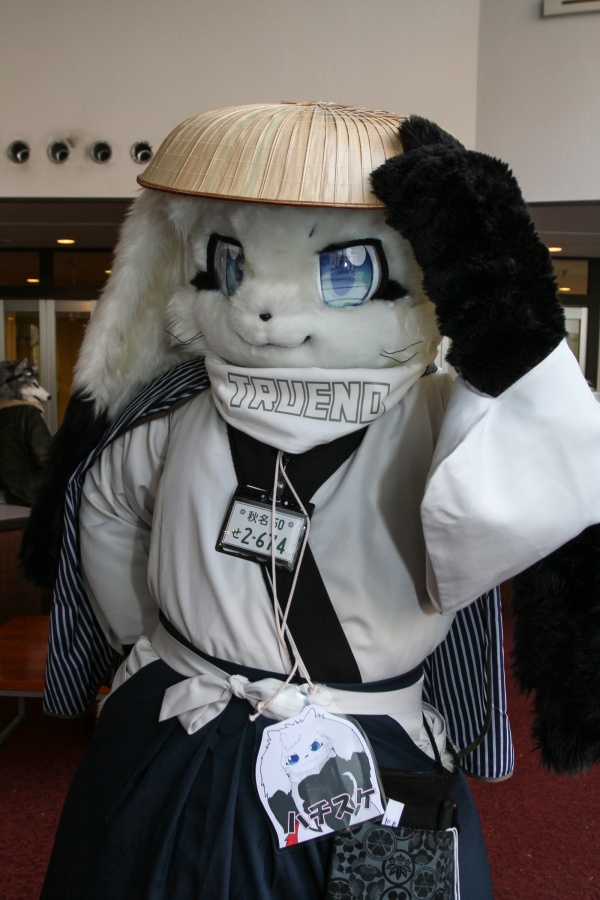 Japan Meeting of Furries 2018, Convention photos