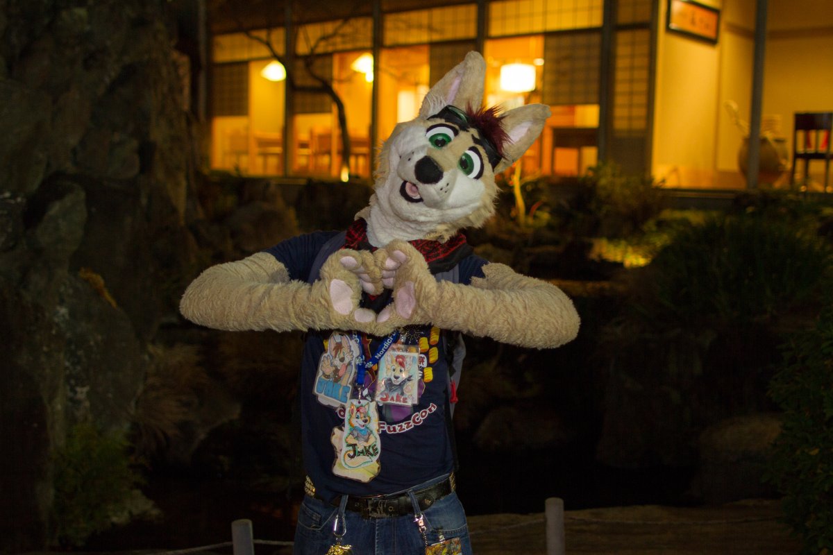 Japan Meeting of Furries 2018, Convention photos