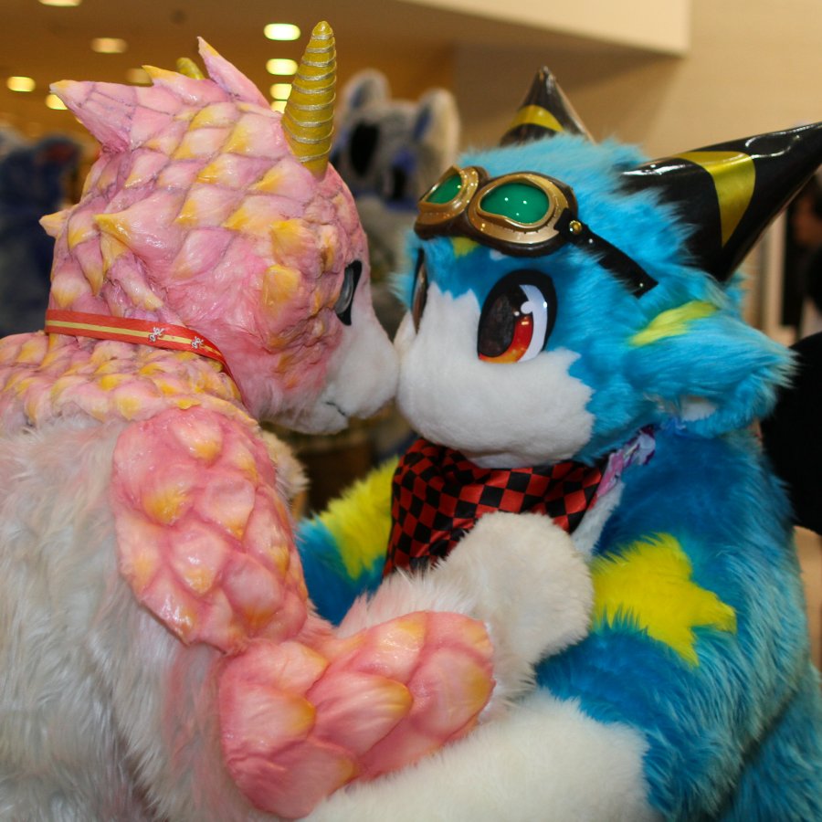 Japan Meeting of Furries 2018, Convention photos