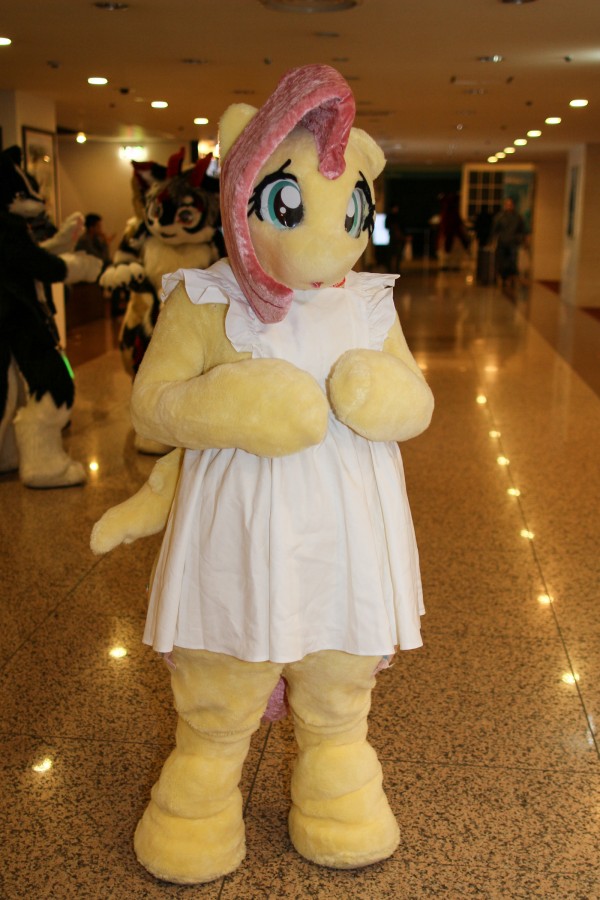 Japan Meeting of Furries 2018, Convention photos