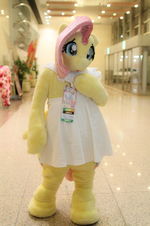 Japan Meeting of Furries 2018, Convention photos