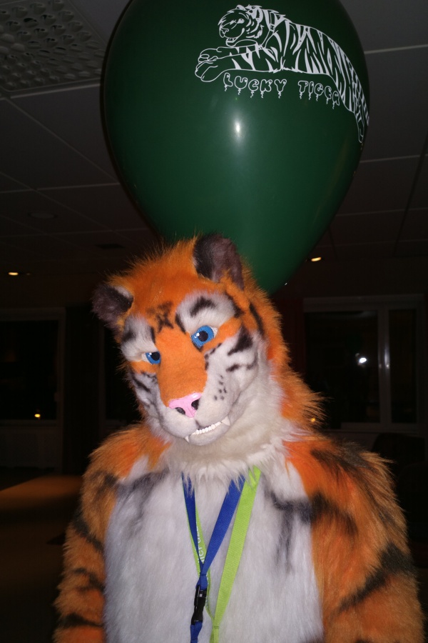 NordicFuzzCon 2013