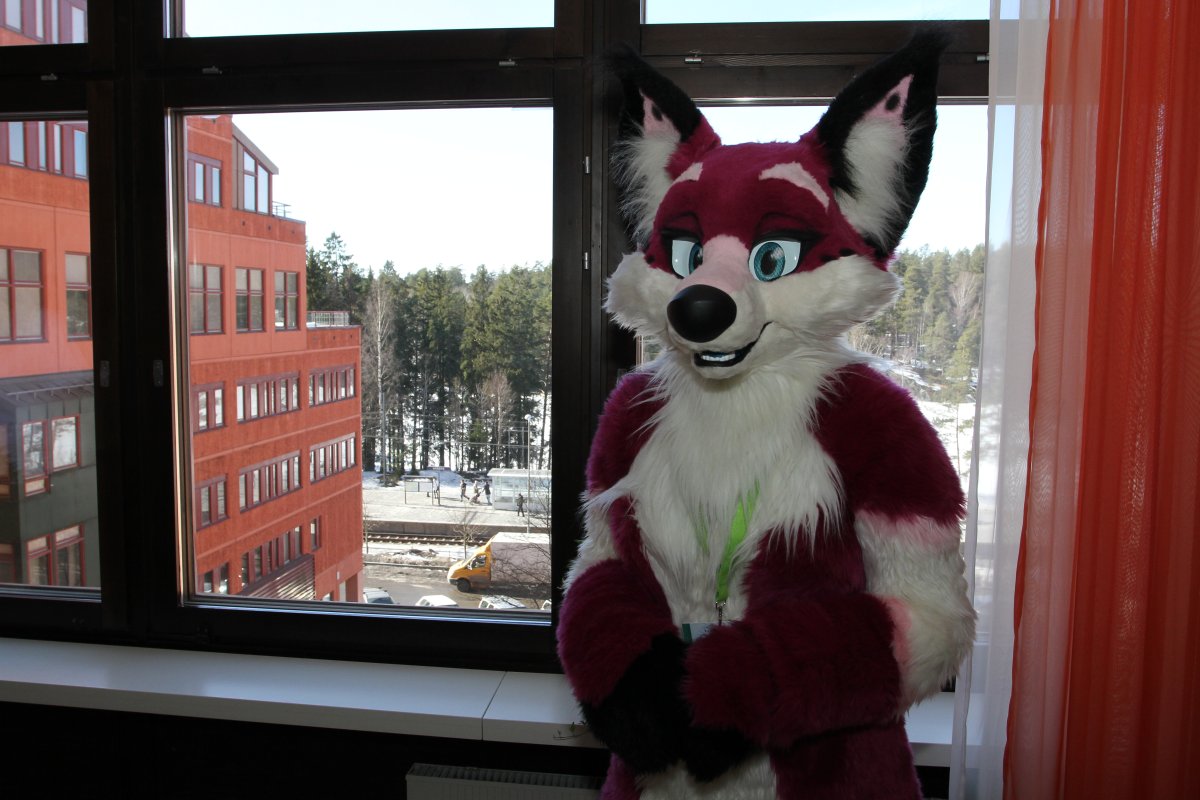 NordicFuzzCon 2013, Fursuits