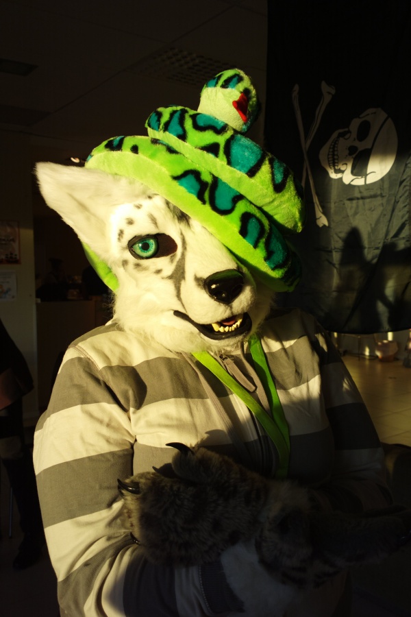 NordicFuzzCon 2013, Fursuits