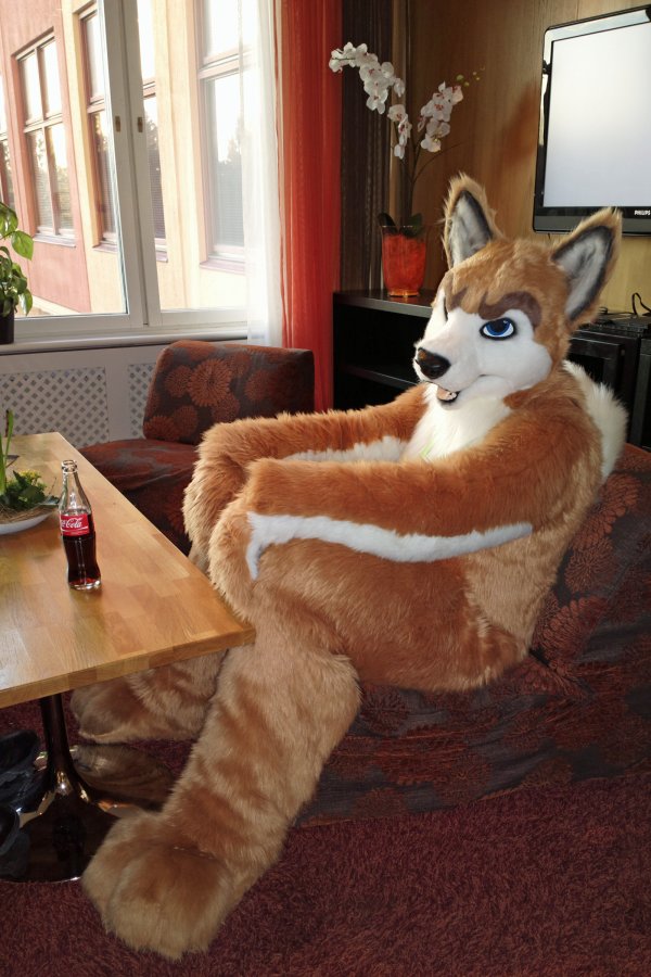 NordicFuzzCon 2013, Fursuits