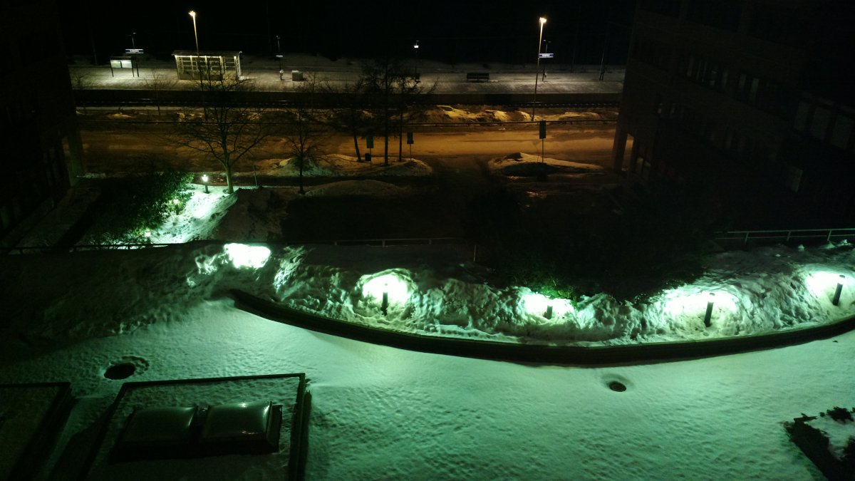 NordicFuzzCon 2013, Furries