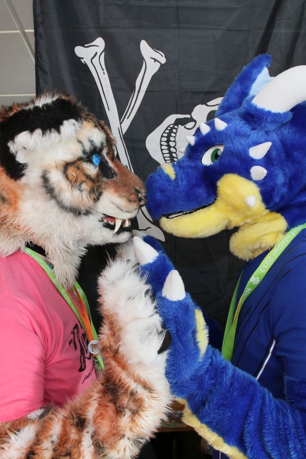 NordicFuzzCon 2013, Fursuits