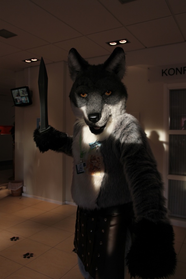 NordicFuzzCon 2013, Fursuits
