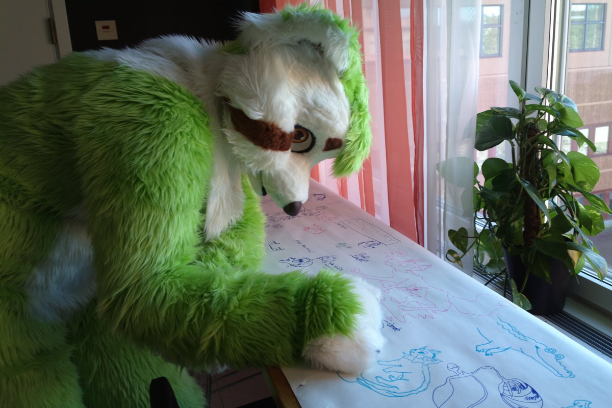 NordicFuzzCon 2013, Fursuits