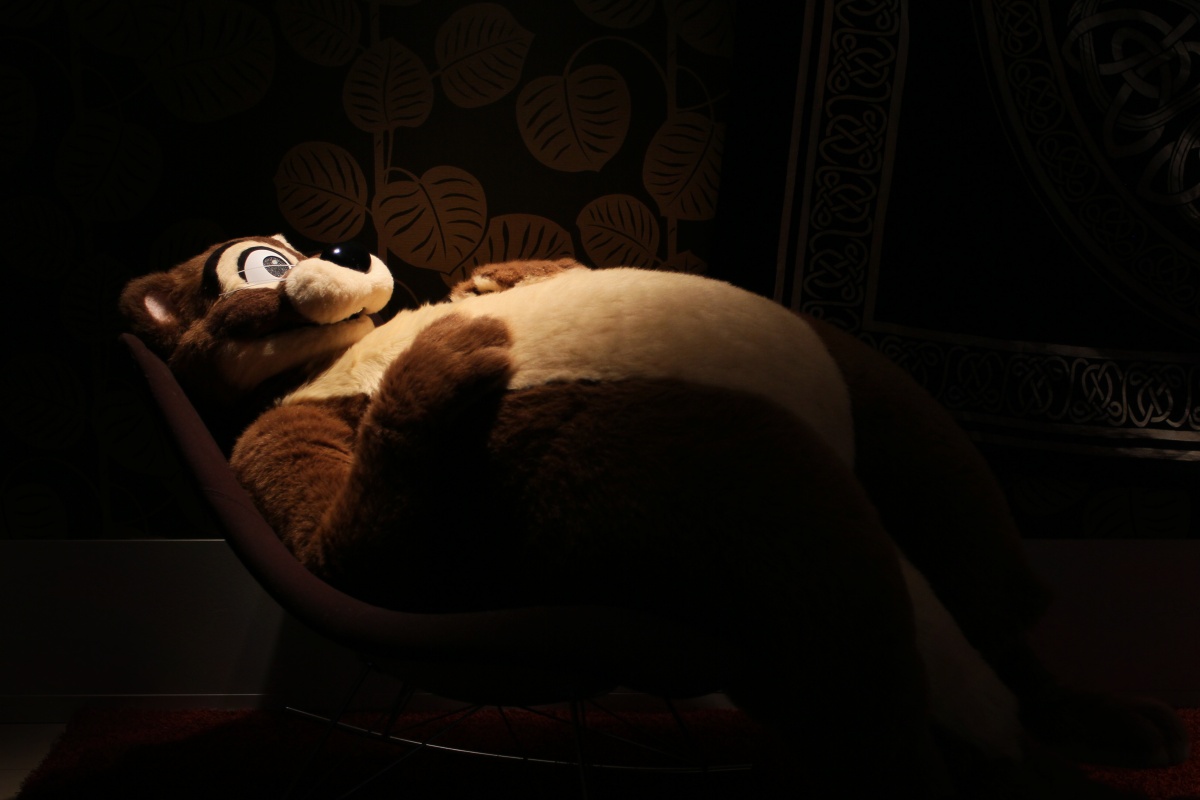 NordicFuzzCon 2013, Fursuits