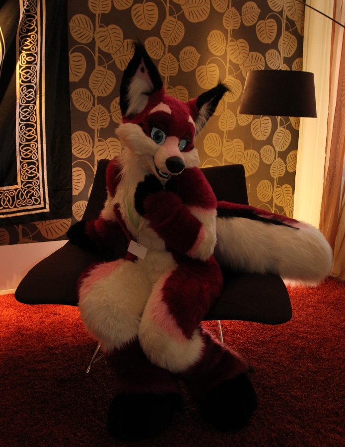 NordicFuzzCon 2013, Fursuits