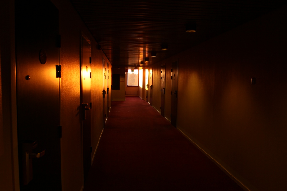 NordicFuzzCon 2013, Furries