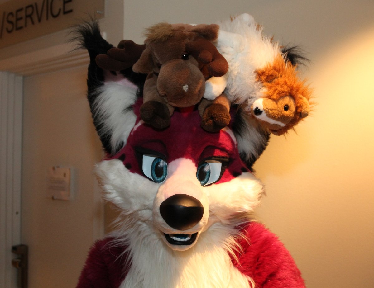 NordicFuzzCon 2013, Fursuits