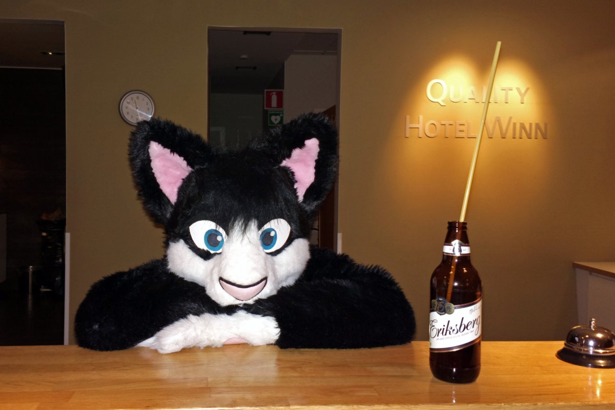 NordicFuzzCon 2013, Fursuits