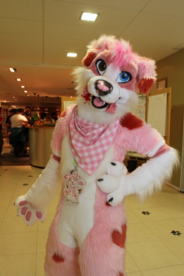 NordicFuzzCon 2014, Indoor photos