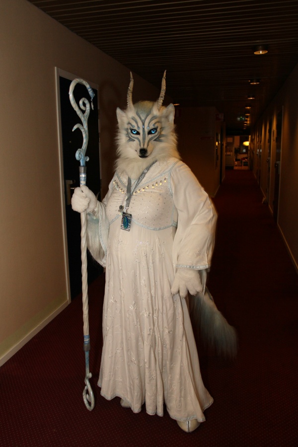 NordicFuzzCon 2014, Indoor photos