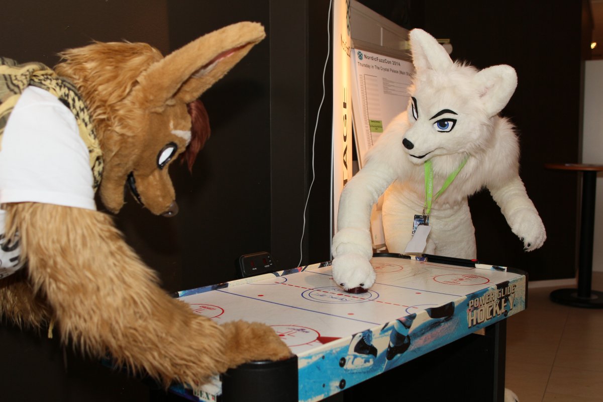 NordicFuzzCon 2014, Indoor photos