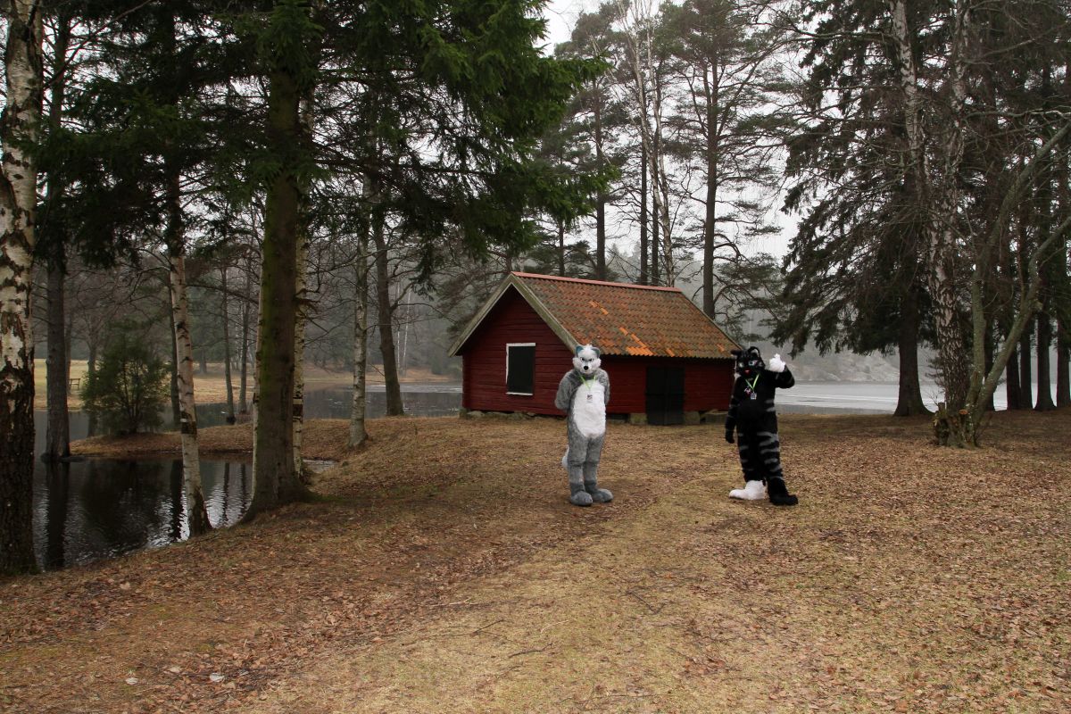 NordicFuzzCon 2014, Outdoor photos