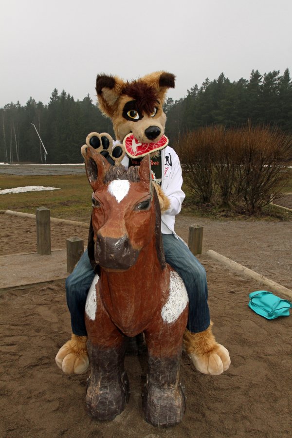 NordicFuzzCon 2014, Outdoor photos