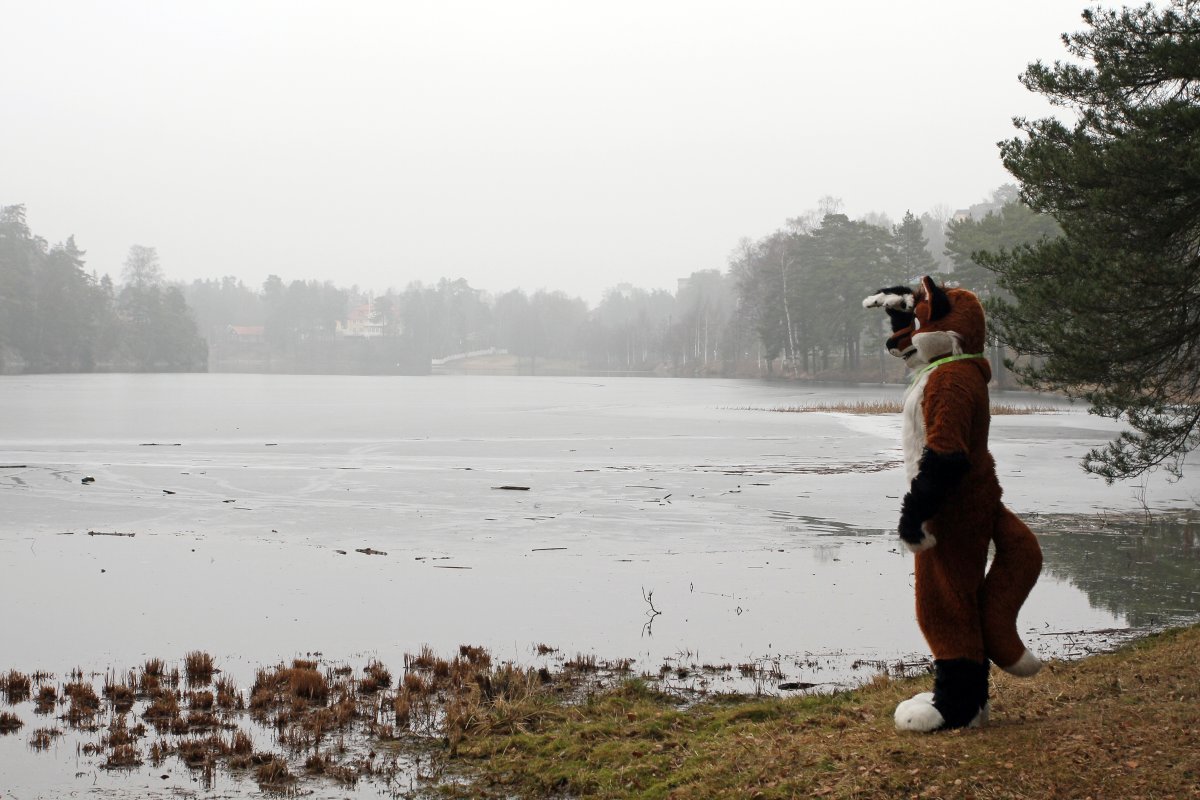 NordicFuzzCon 2014, Outdoor photos