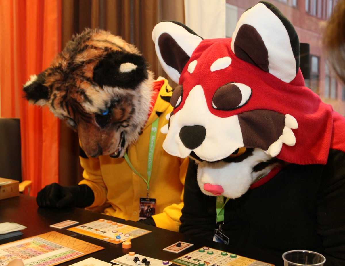 NordicFuzzCon 2014, Indoor photos