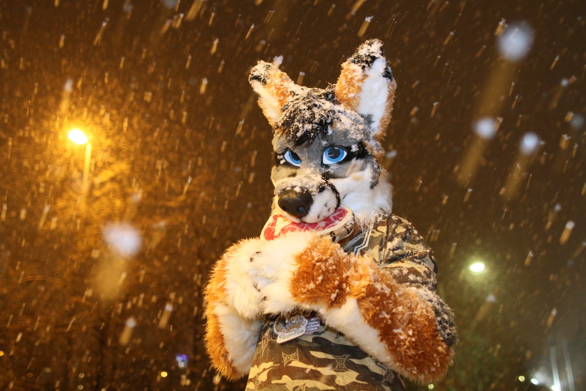 NordicFuzzCon 2014